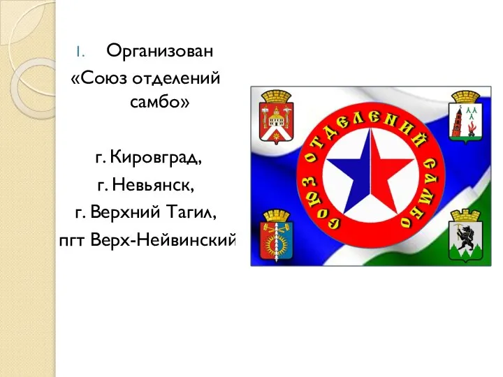 Организован «Союз отделений самбо» г. Кировград, г. Невьянск, г. Верхний Тагил, пгт Верх-Нейвинский