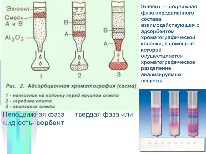 Элюент — подвижная фаза определенного состава, взаимодействующая с адсорбентом хроматографической колонки,
