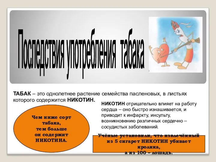 Последствия употребления табака ТАБАК – это однолетнее растение семейства пасленовых, в