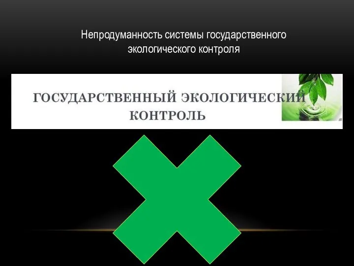 Непродуманность системы государственного экологического контроля