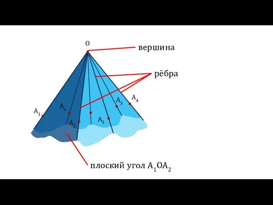 O A1 A2 A3 A4 A5 An плоский угол A1OA2 рёбра вершина