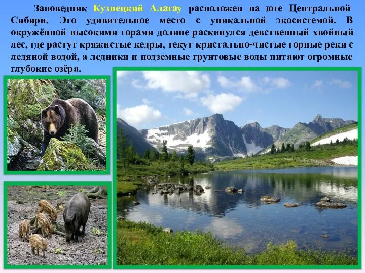 Заповедник Кузнецкий Алатау расположен на юге Центральной Сибири. Это удивительное место