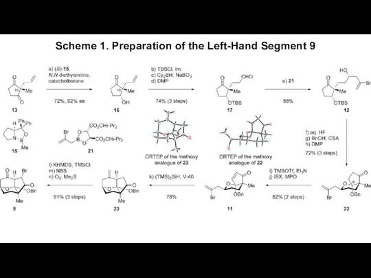 Scheme 1. Preparation of the Left-Hand Segment 9