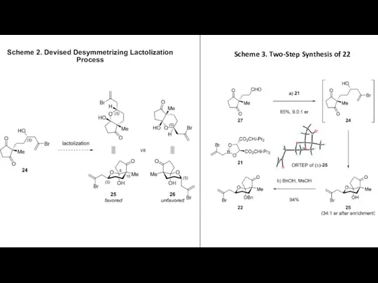 Scheme 2. Devised Desymmetrizing Lactolization Process Scheme 3. Two-Step Synthesis of 22