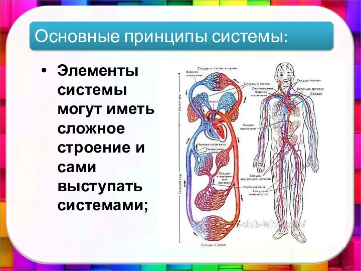 Элементы системы могут иметь сложное строение и сами выступать системами; Основные принципы системы: