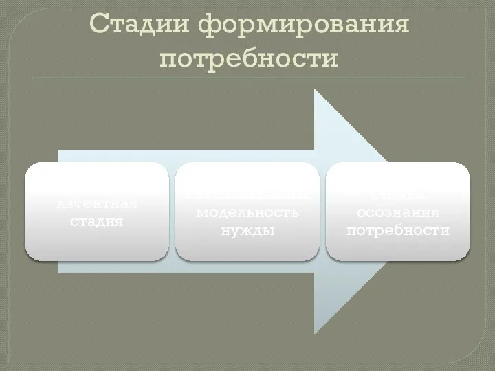 Стадии формирования потребности