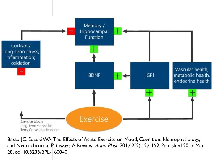 Basso JC, Suzuki WA. The Effects of Acute Exercise on Mood,