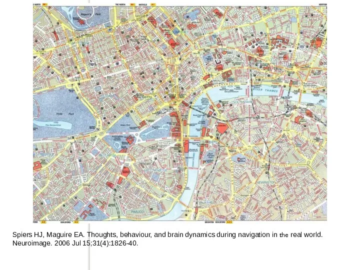 Spiers HJ, Maguire EA. Thoughts, behaviour, and brain dynamics during navigation