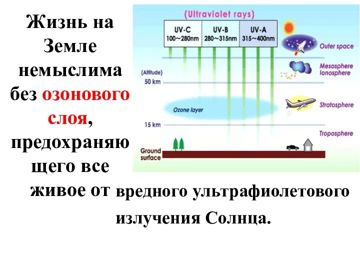 Жизнь на Земле немыслима без озонового слоя, предохраняющего все живое от вредного ультрафиолетового излучения Солнца.