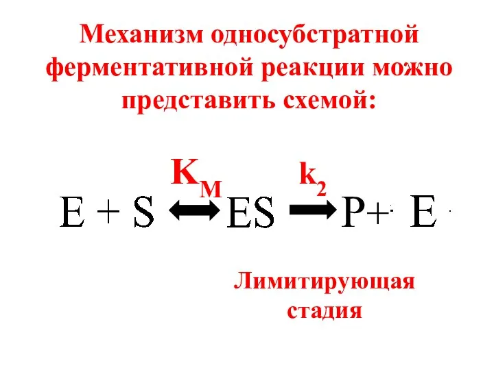 Механизм односубстратной ферментативной реакции можно представить схемой: P+ KM k2 Лимитирующая стадия