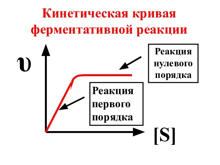 Кинетическая кривая ферментативной реакции [S] υ Реакция нулевого порядка Реакция первого порядка