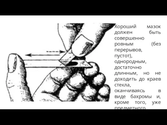 Хороший мазок должен быть совершенно ровным (без перерывов, пустот), однородным, достаточно