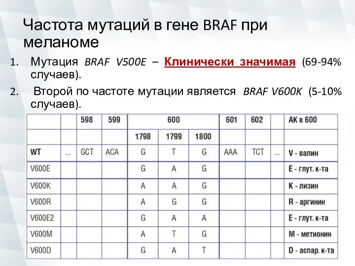 Частота мутаций в гене BRAF при меланоме Мутация BRAF V500E –