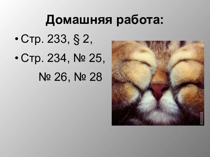 Домашняя работа: Стр. 233, § 2, Стр. 234, № 25, № 26, № 28