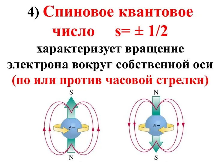 4) Спиновое квантовое число s= ± 1/2 характеризует вращение электрона вокруг