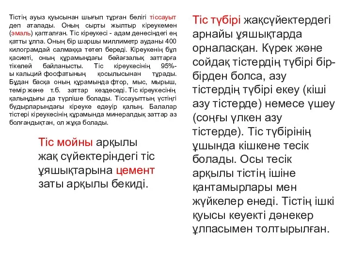 Тістің ауыз қуысынан шығып тұрған бөлігі тіссауыт деп аталады. Оның сырты