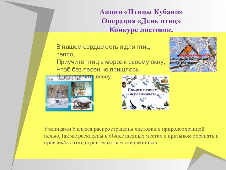 Акции «Птицы Кубани» Операция «День птиц» Конкурс листовок. В нашем сердце