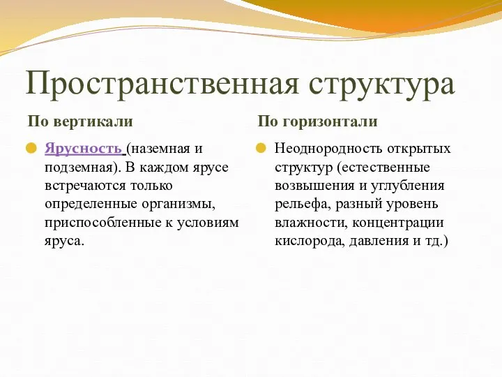 Пространственная структура По вертикали По горизонтали Ярусность (наземная и подземная). В