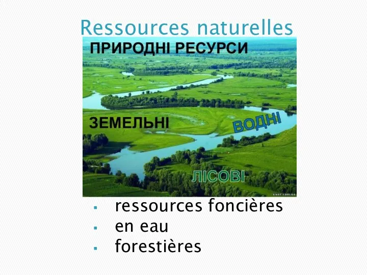 Ressources naturelles ressources foncières en eau forestières