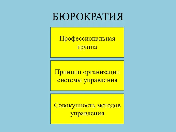 БЮРОКРАТИЯ Профессиональная группа Принцип организации системы управления Совокупность методов управления