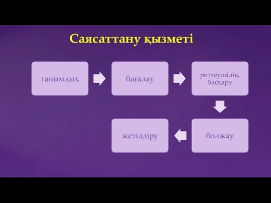 Саясаттану қызметі