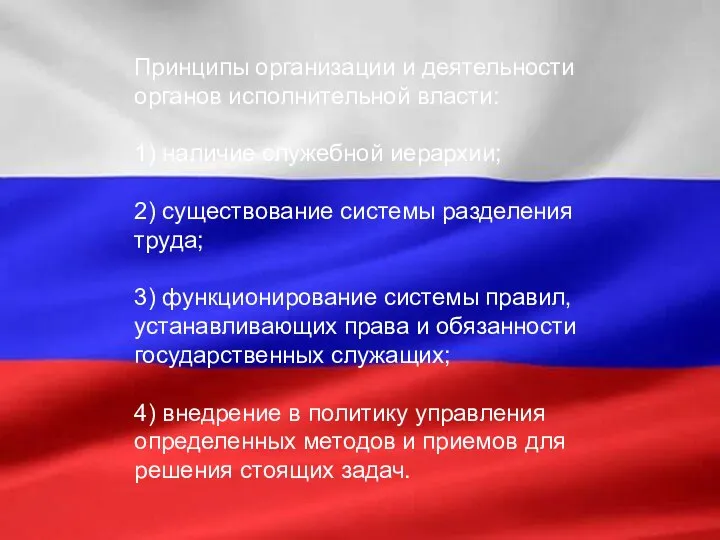 Принципы организации и деятельности органов исполнительной власти: 1) наличие служебной иерархии;