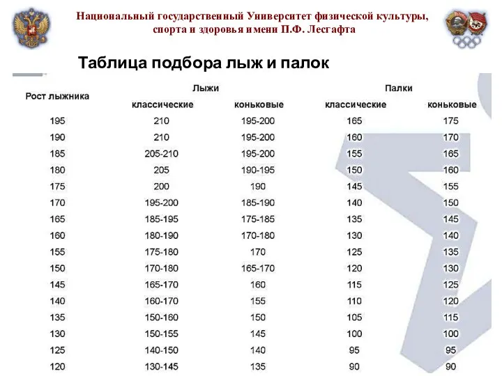 Национальный государственный Университет физической культуры, спорта и здоровья имени П.Ф. Лесгафта Таблица подбора лыж и палок