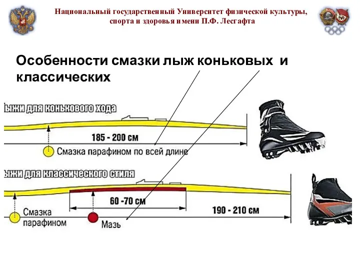 Национальный государственный Университет физической культуры, спорта и здоровья имени П.Ф. Лесгафта