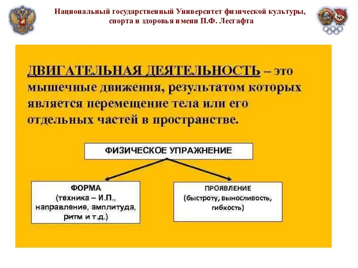 Национальный государственный Университет физической культуры, спорта и здоровья имени П.Ф. Лесгафта