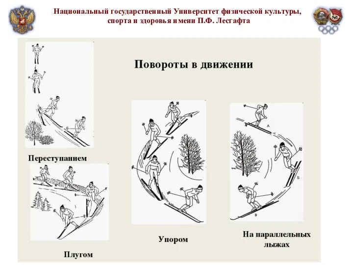 Национальный государственный Университет физической культуры, спорта и здоровья имени П.Ф. Лесгафта