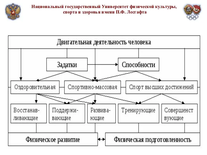 Национальный государственный Университет физической культуры, спорта и здоровья имени П.Ф. Лесгафта