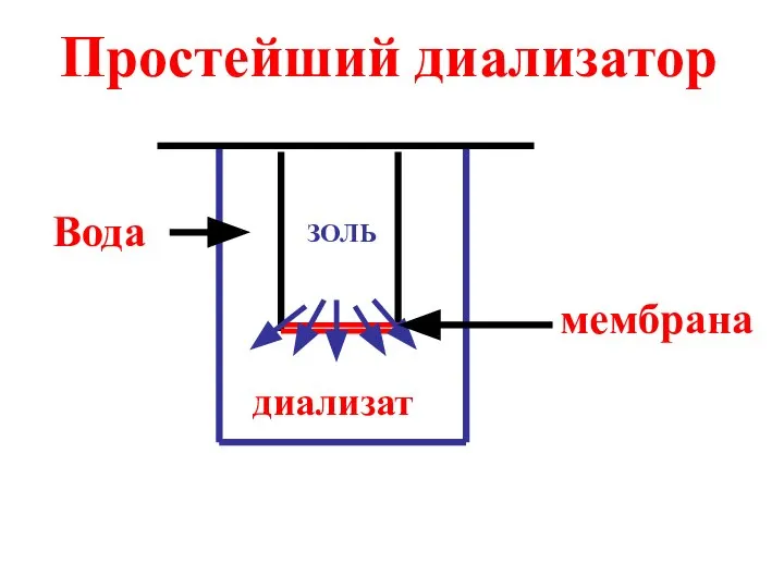 диализат ЗОЛЬ мембрана Простейший диализатор Вода