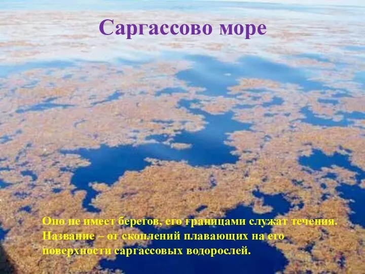 Саргассово море Оно не имеет берегов, его границами служат течения. Название