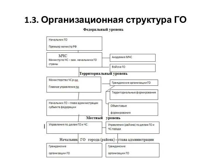 1.3. Организационная структура ГО