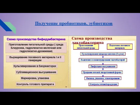 Получение пробиотиков, эубиотиков