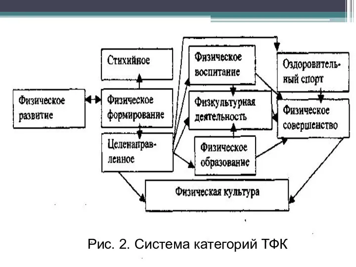 Рис. 2. Система категорий ТФК