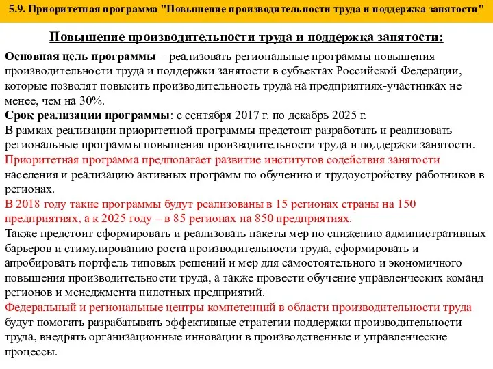 5.9. Приоритетная программа "Повышение производительности труда и поддержка занятости" Повышение производительности