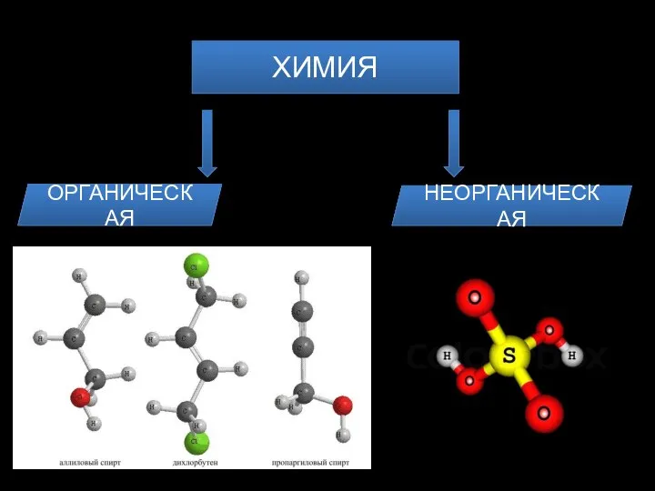 ХИМИЯ ОРГАНИЧЕСКАЯ НЕОРГАНИЧЕСКАЯ