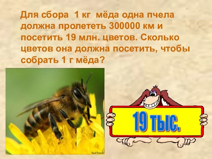 Для сбора 1 кг мёда одна пчела должна пролететь 300000 км