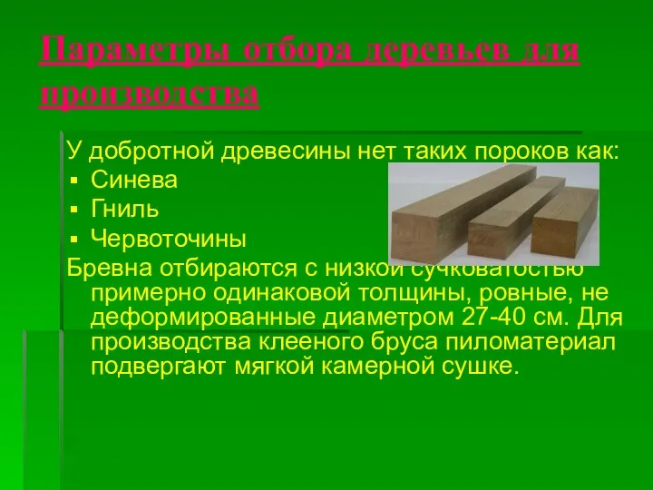 Параметры отбора деревьев для производства У добротной древесины нет таких пороков