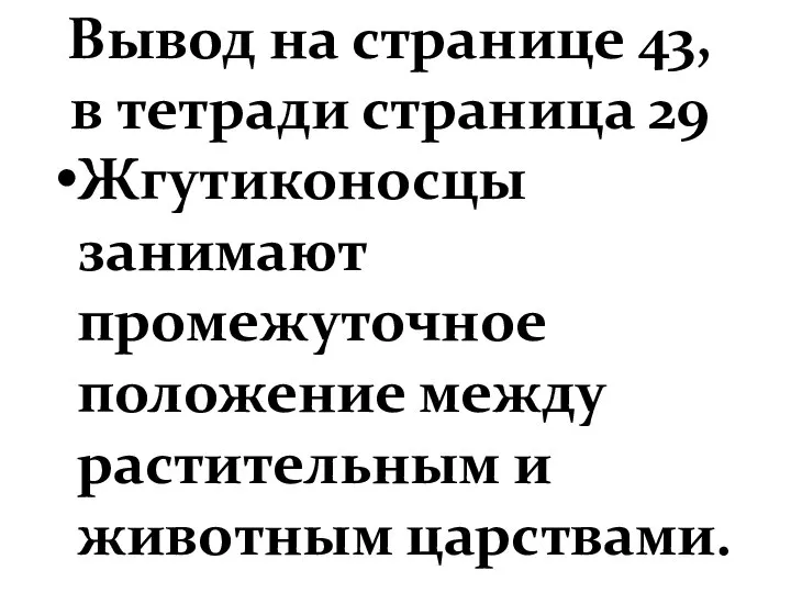 Вывод на странице 43, в тетради страница 29 Жгутиконосцы занимают промежуточное