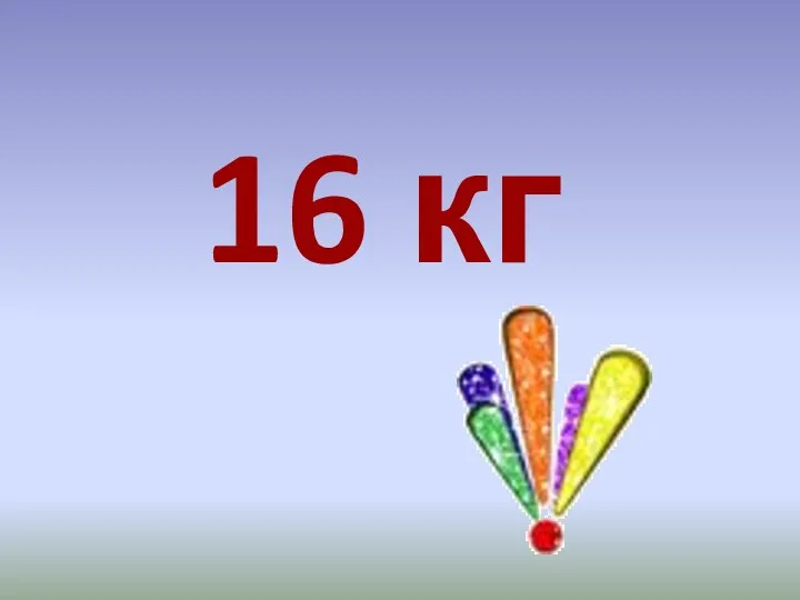 16 кг