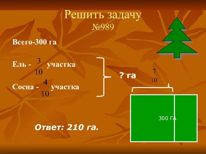 Решить задачу №989 Всего-300 га Ель - участка Сосна - участка