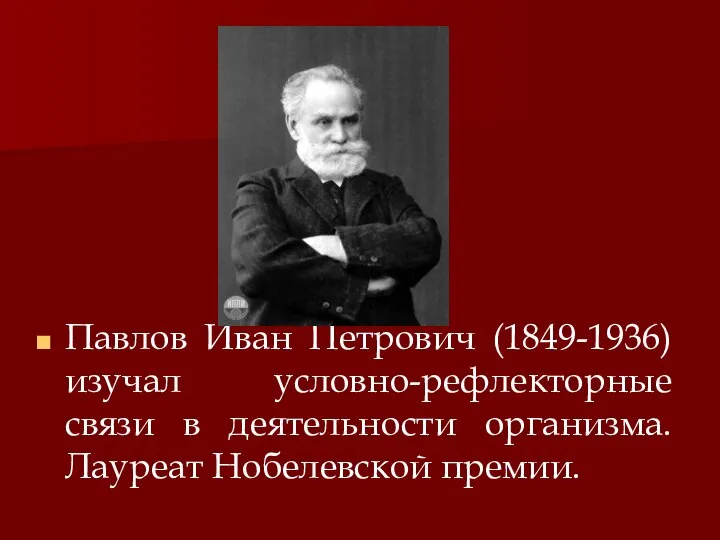 Павлов Иван Петрович (1849-1936) изучал условно-рефлекторные связи в деятельности организма. Лауреат Нобелевской премии.