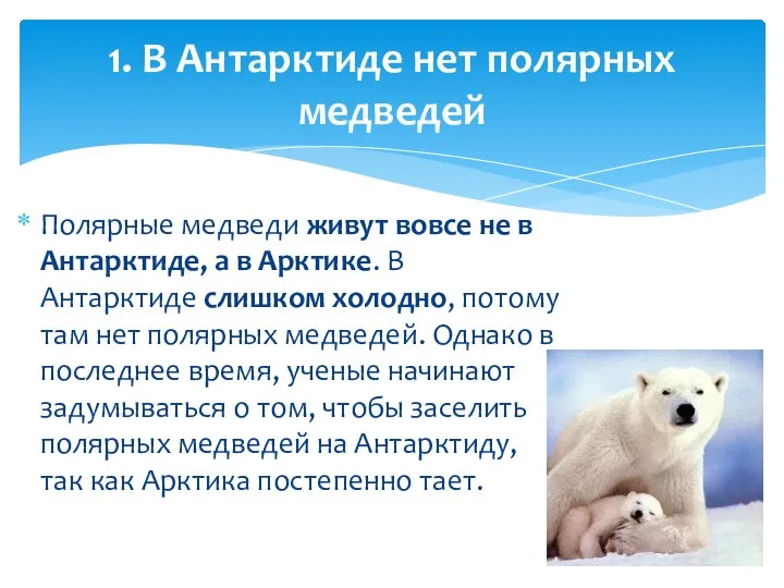Полярные медведи живут вовсе не в Антарктиде, а в Арктике. В