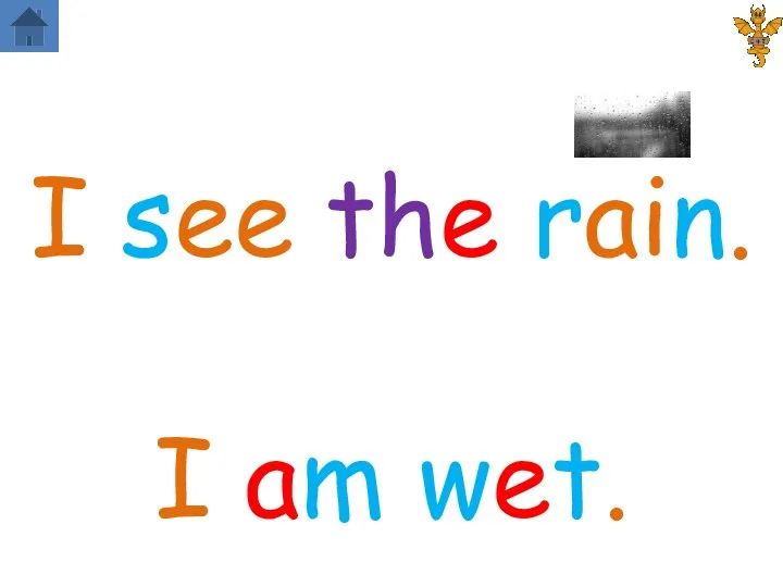 I see the rain. I am wet.