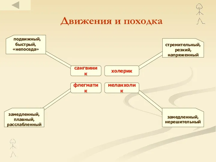 Движения и походка сангвиник холерик флегматик меланхолик стремительный, резкий, напряженный подвижный,