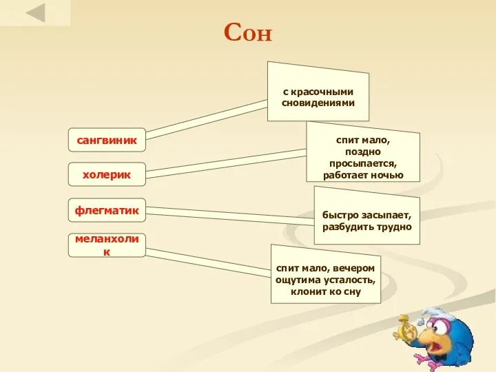 Сон сангвиник холерик флегматик меланхолик с красочными сновидениями спит мало, поздно