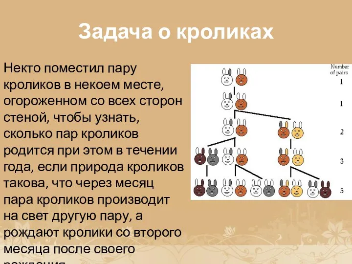 История возникновения прогрессии Некто поместил пару кроликов в некоем месте, огороженном