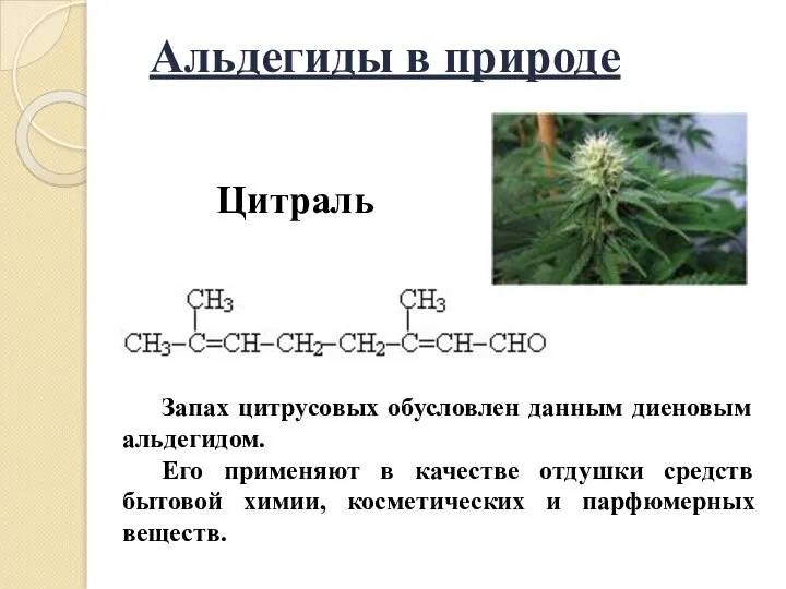 Запах цитрусовых обусловлен данным диеновым альдегидом. Его применяют в качестве отдушки